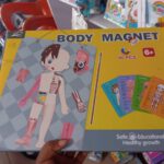 BODY MAGNET 80-Piece Human Anatomy & Skeleton Magnetic Learning Board with Pointer
