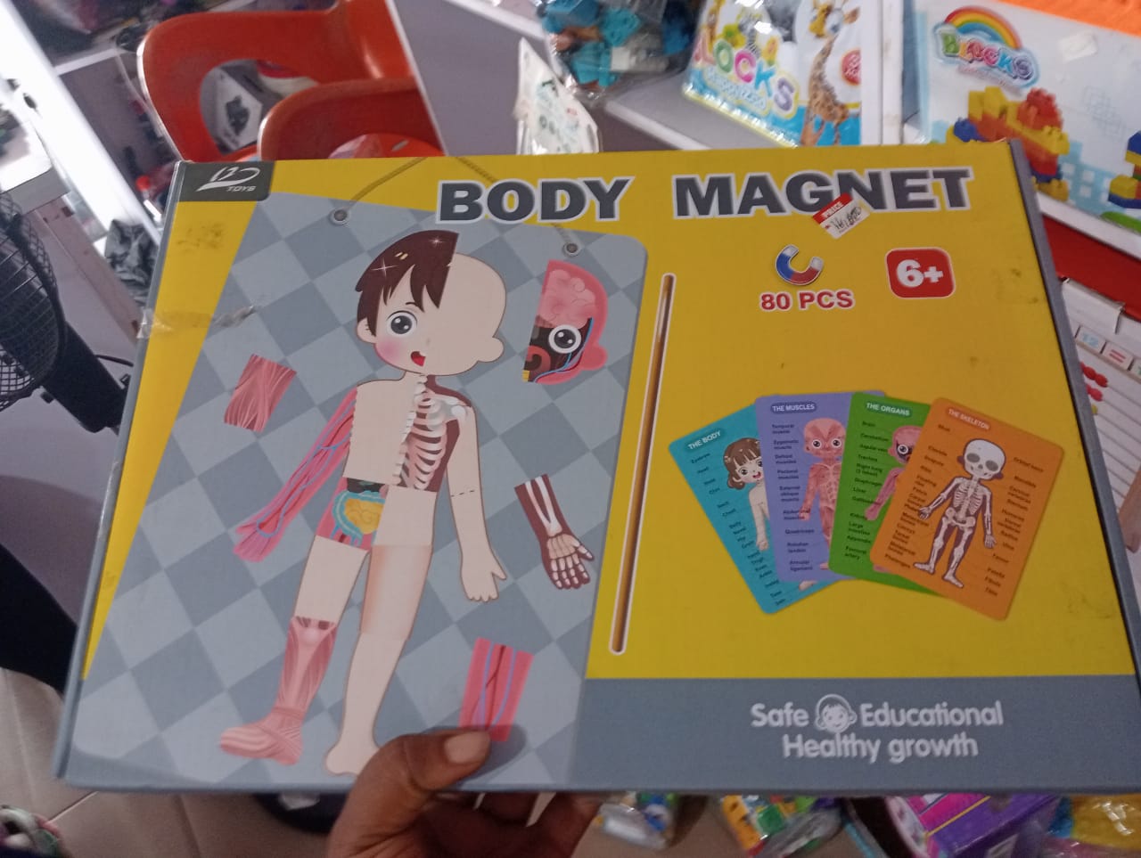 baby-soft-cloth-crinkle-flashcards-teeth-nbk-stm-082 BODY MAGNET 80-Piece Human Anatomy & Skeleton Magnetic Learning Board with Pointer - Image 1