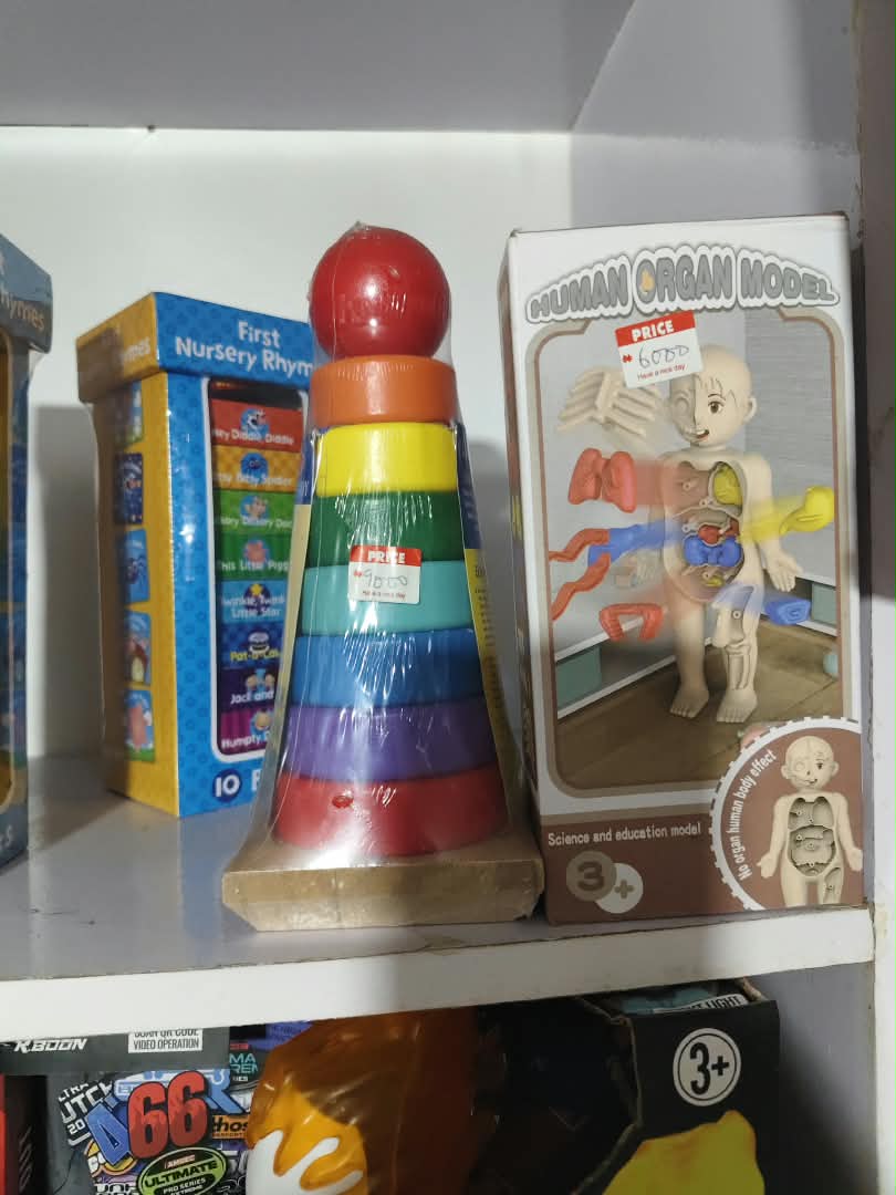 wooden-shape-and-color-sorting-clock-puz-nbk-stm-137 Human Organ Model 3D Removable Anatomy Science Playset with Rainbow Stacker - Image 1